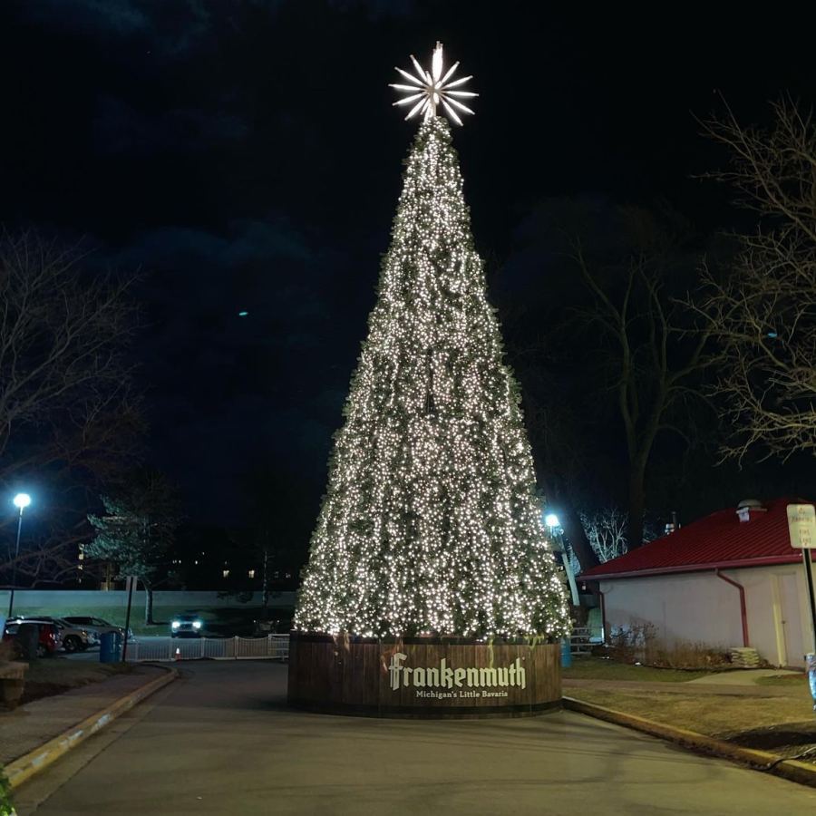 Frankenmuth's Spectacular Musical Tree Show