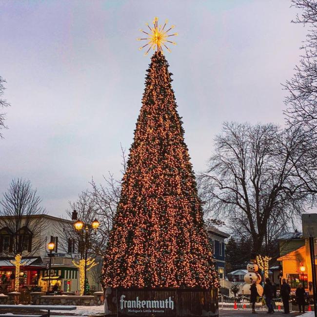 Frankenmuth's Spectacular Musical Tree Show