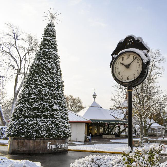 Frankenmuth's Spectacular Musical Tree Show