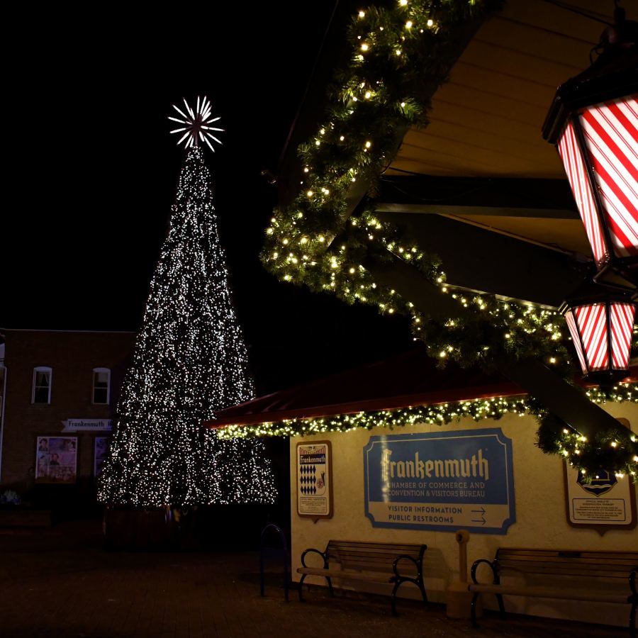 Show the store christmas tree